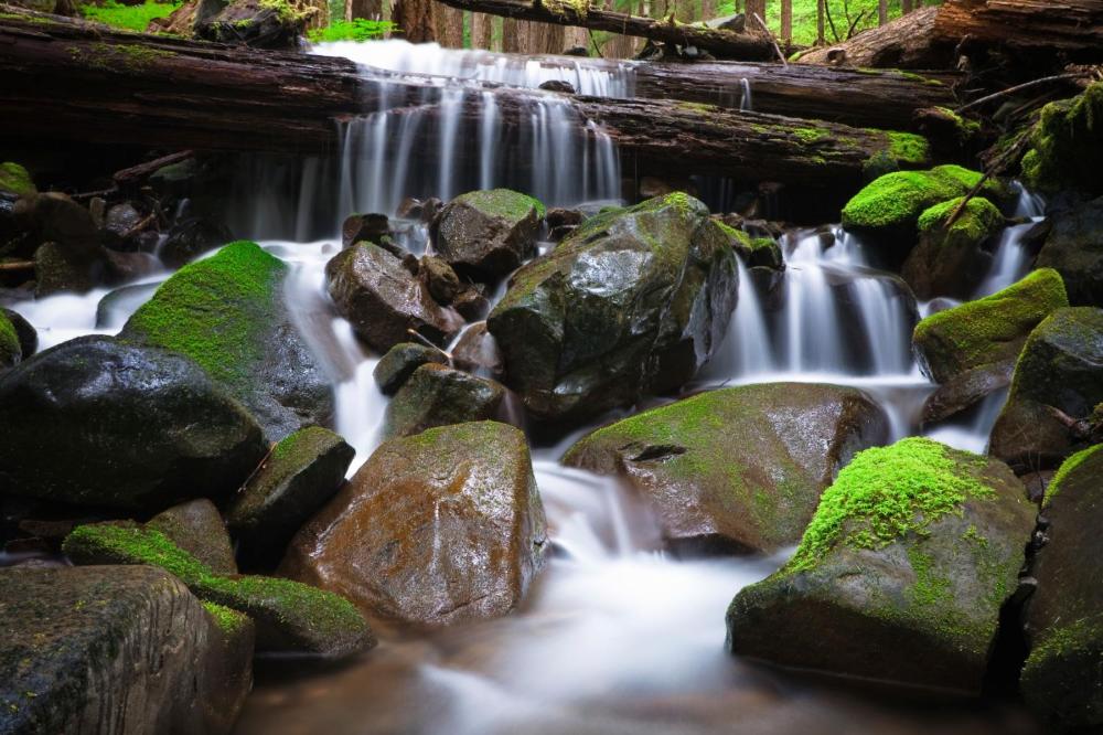 Sol Duc Hot Springs Resort
